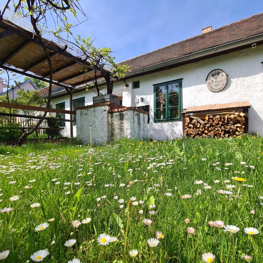 Landhaus Nitsch Appartement - Gästehaus Nitsch Appartement Prinzendorf an Der Zaya Exterior foto