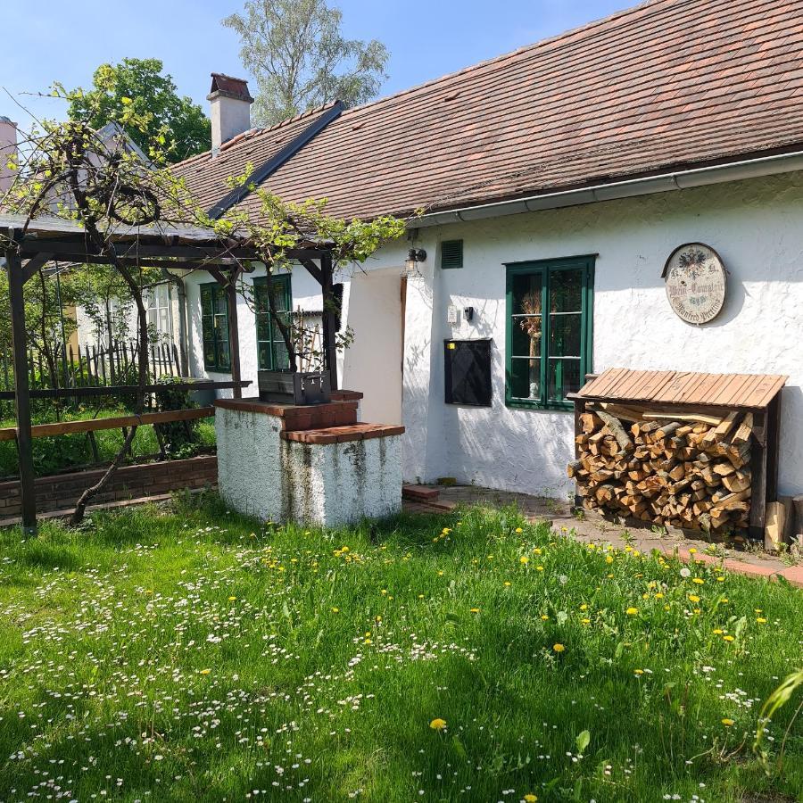 Landhaus Nitsch Appartement - Gästehaus Nitsch Appartement Prinzendorf an Der Zaya Exterior foto